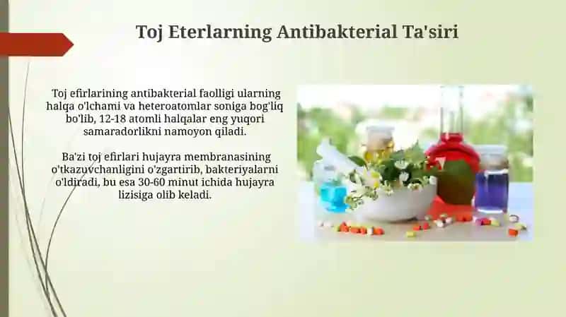 Toj Eterlarning Antibakterial Ta'siri 3