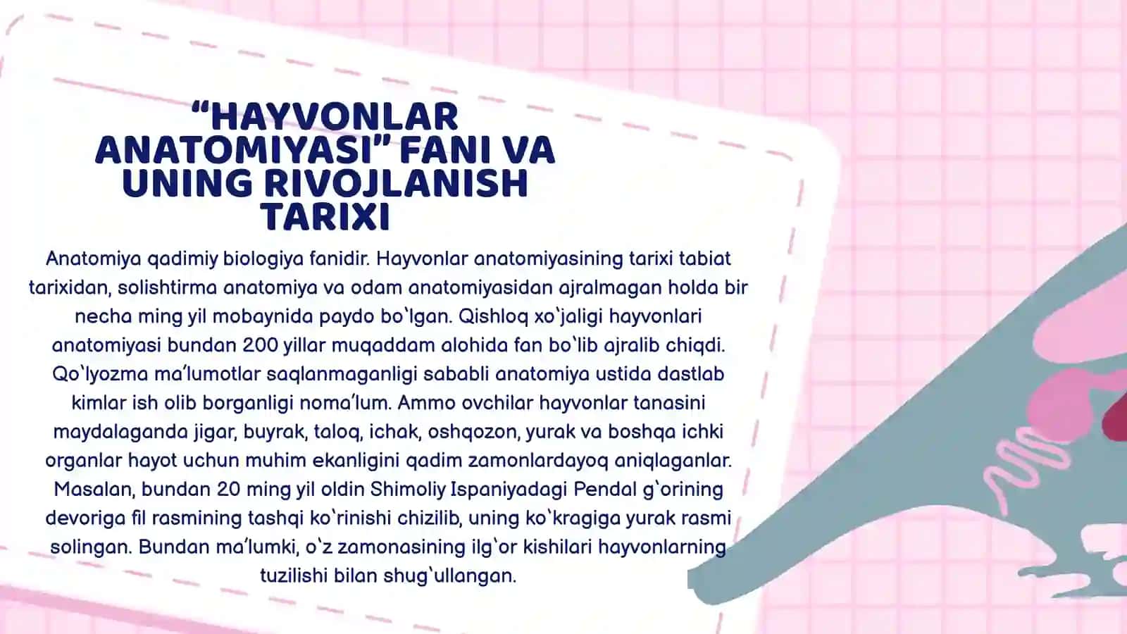 Hayvonlar anatomiyasi 3