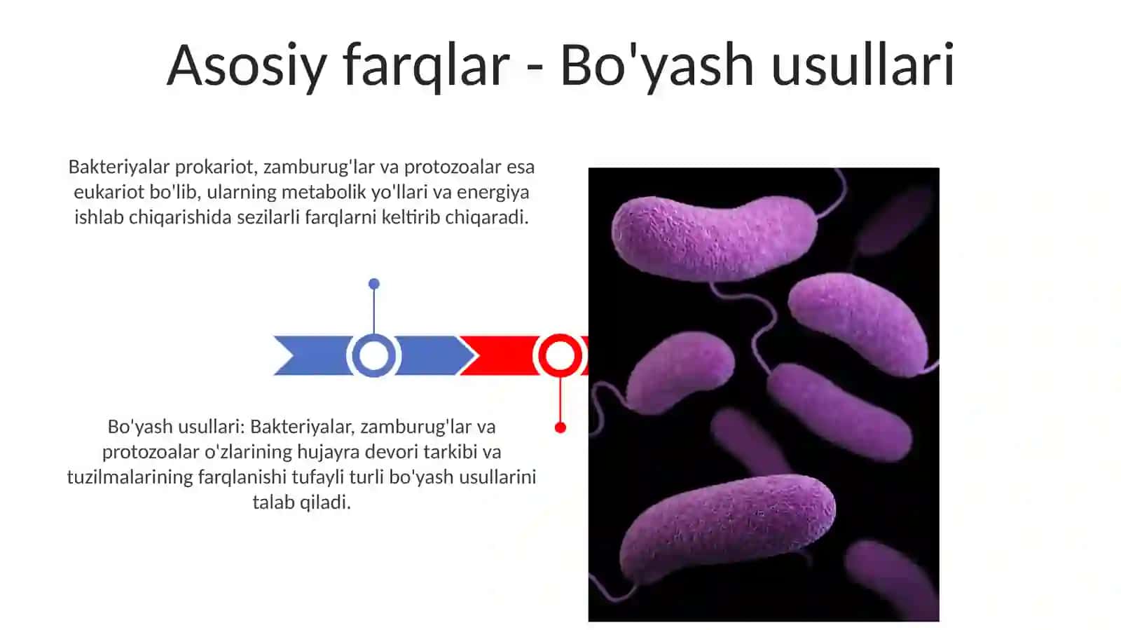 Asosiy Farqlarni Taqqoslash 3