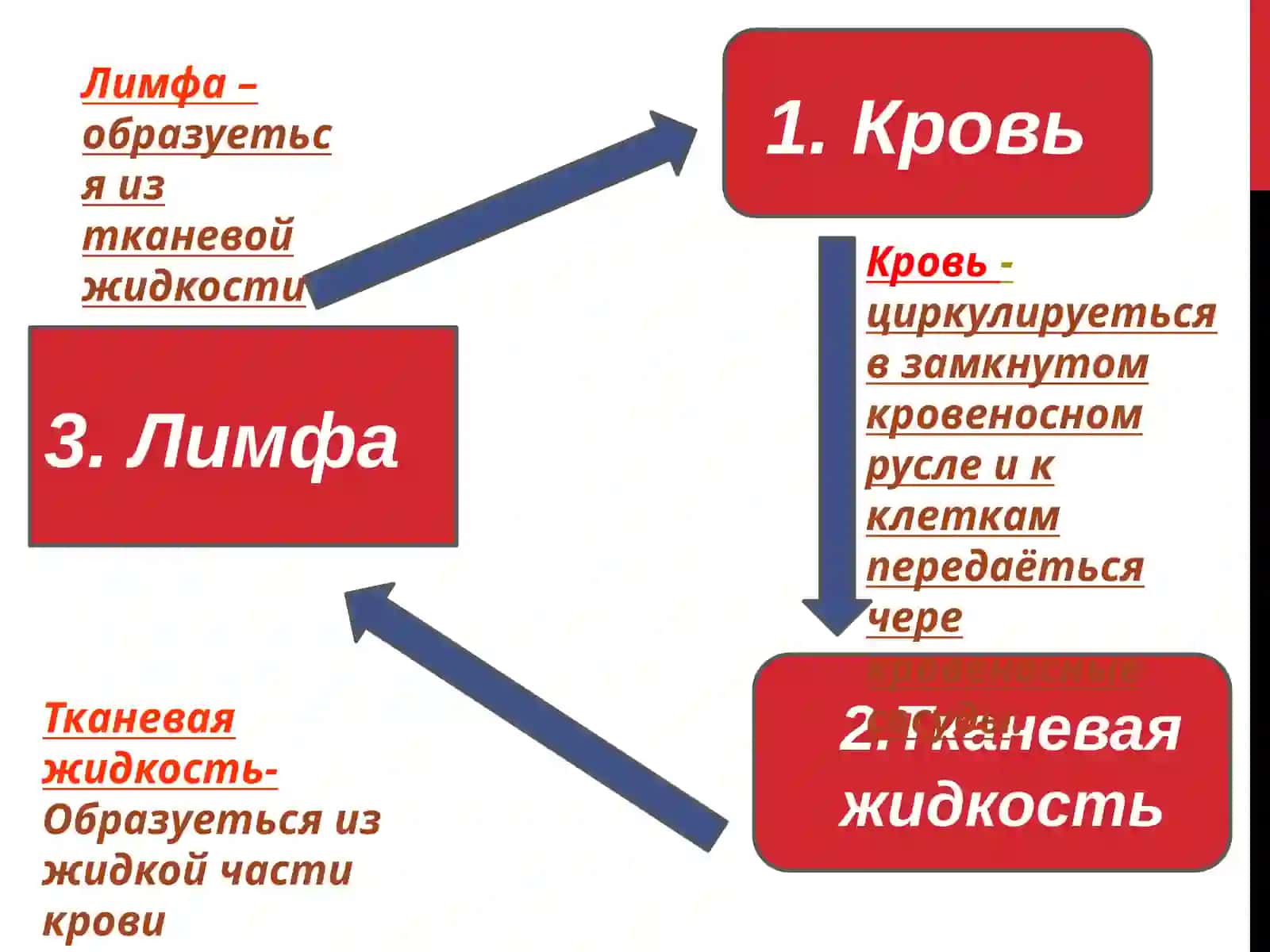 Бухарский государственный медицинский институт 3