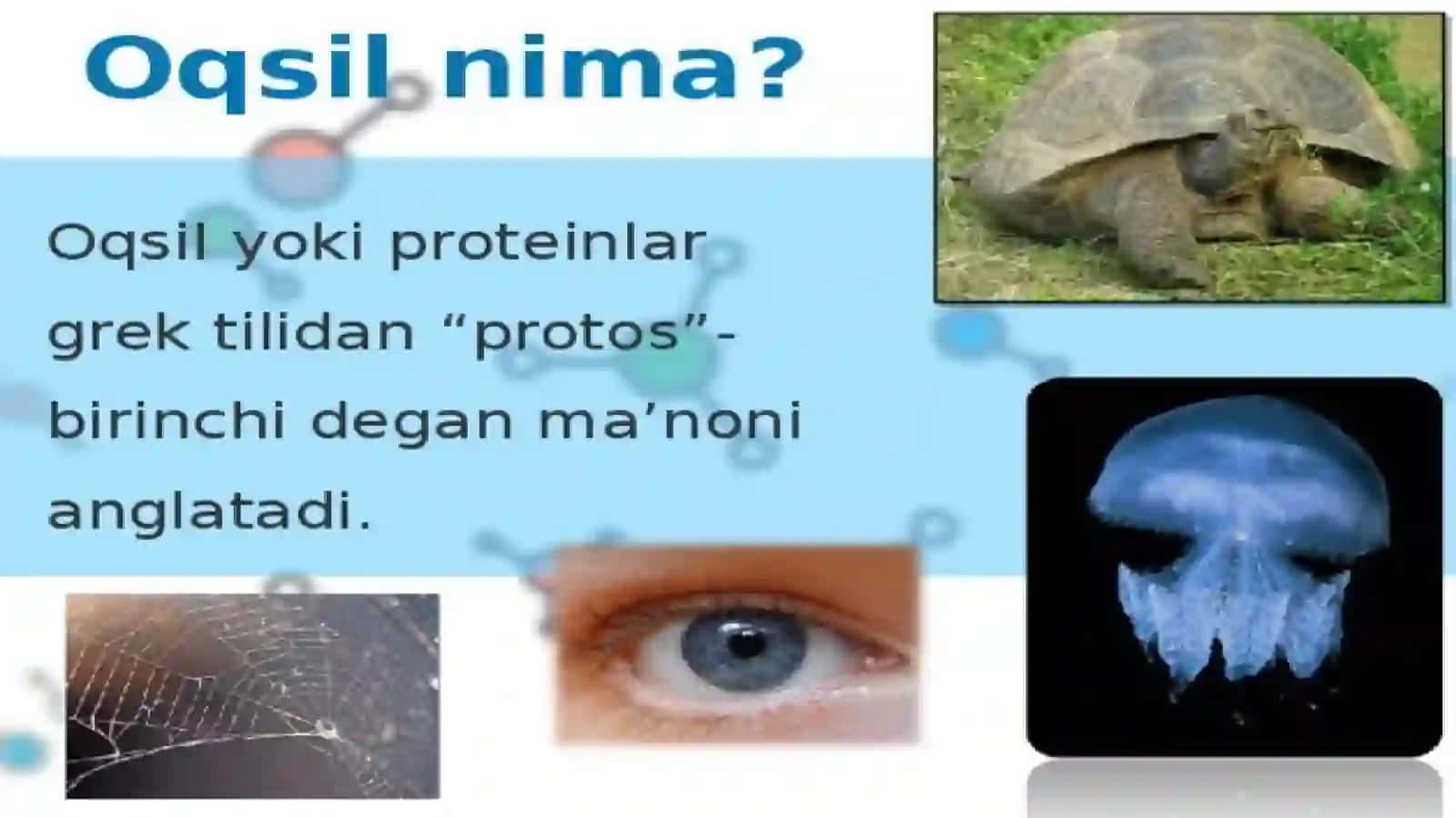 Baliq skleti metodi 3