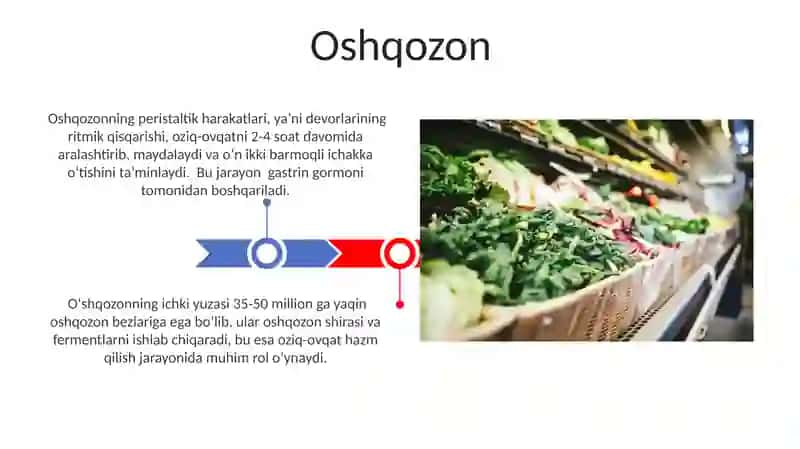 Ovqat hazm qilish sistemasi 3