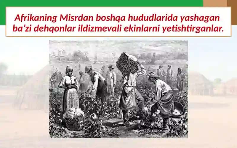 Afrika xalqlari o‘rta asrlarda 3