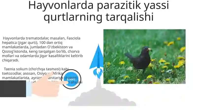 Parazit xivchinlilar 3