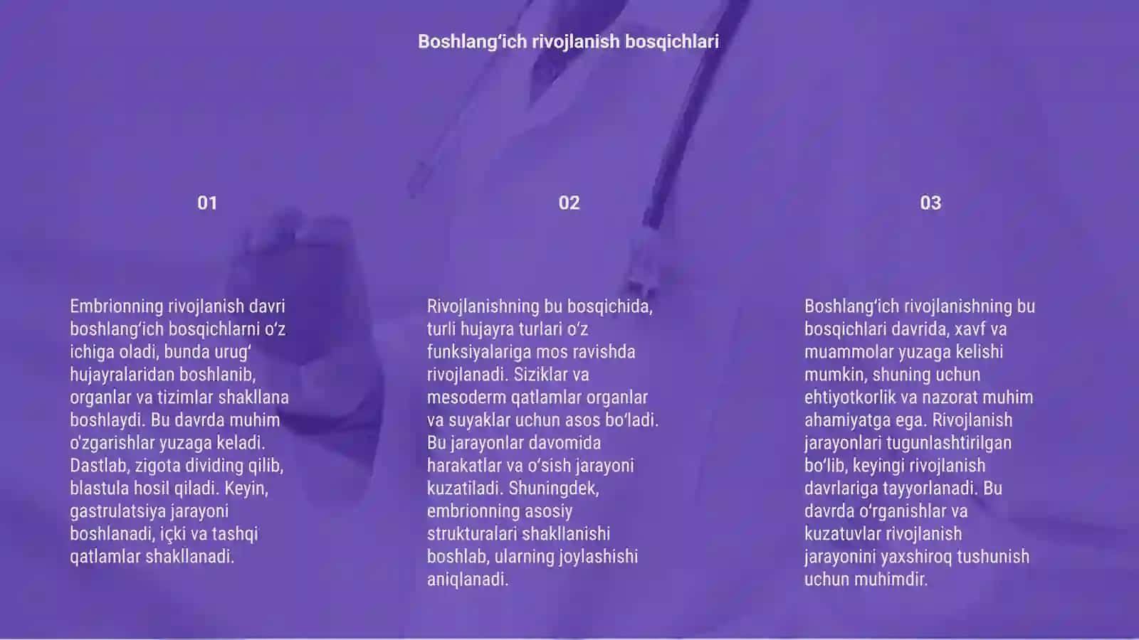 Embrionning rivojlanish davri 3