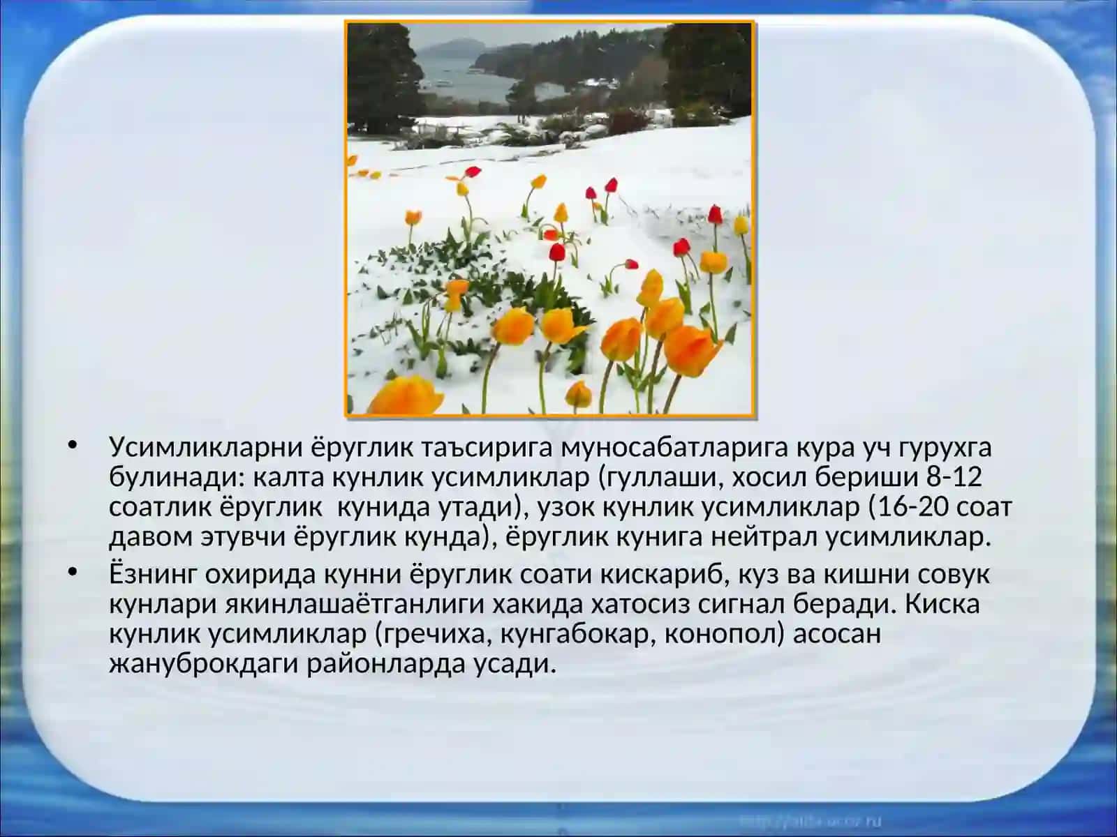 Фотопериодизм 3