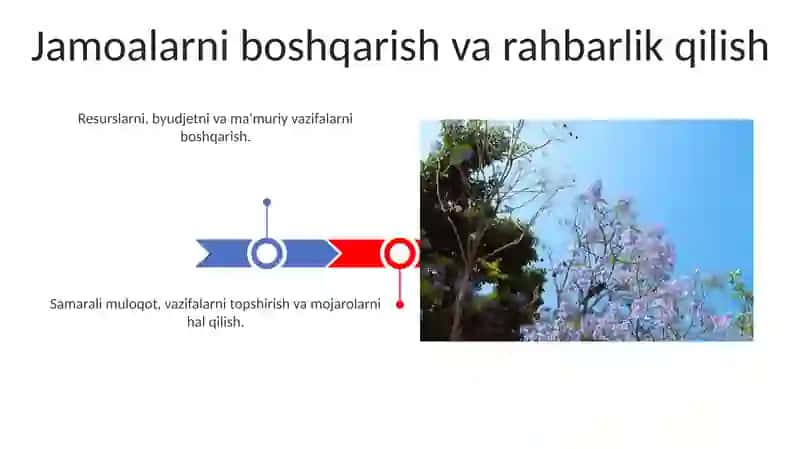 Ma'muriy ish yurutish 3