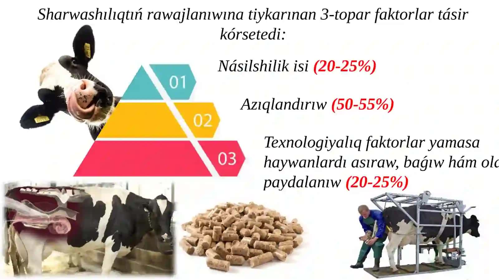Zoogigiyena va chorvachilik binolarini loyihalash 3
