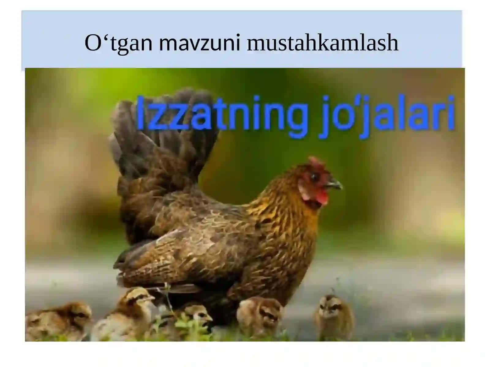 O‘tgan mavzuni mustahkamlash 3
