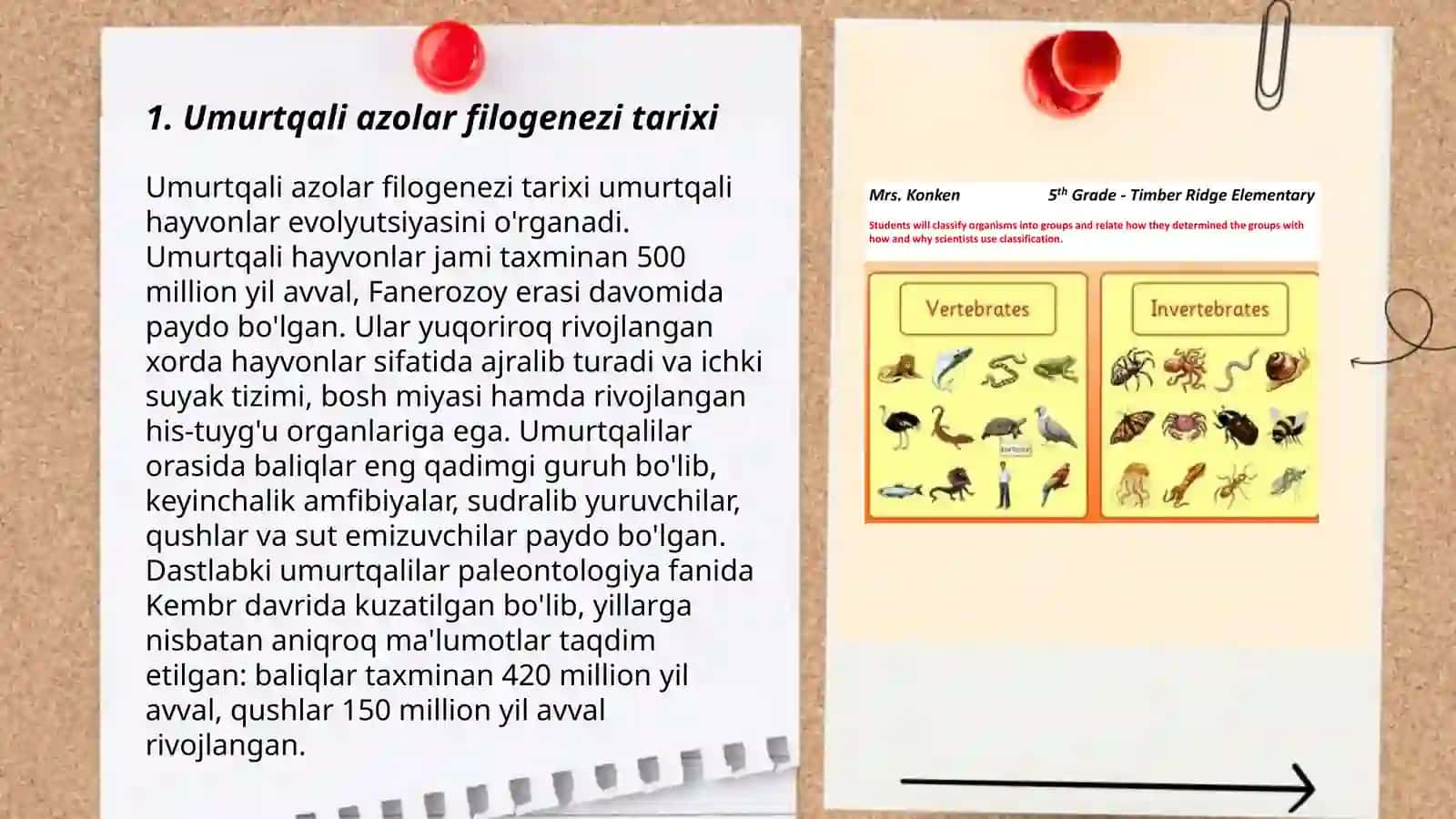 Umurtqali azolar filogenezi 3