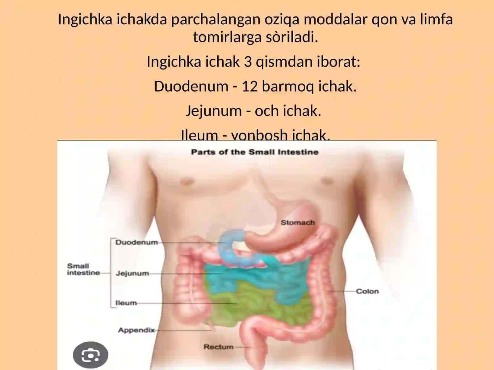 Ingichkaichak 3
