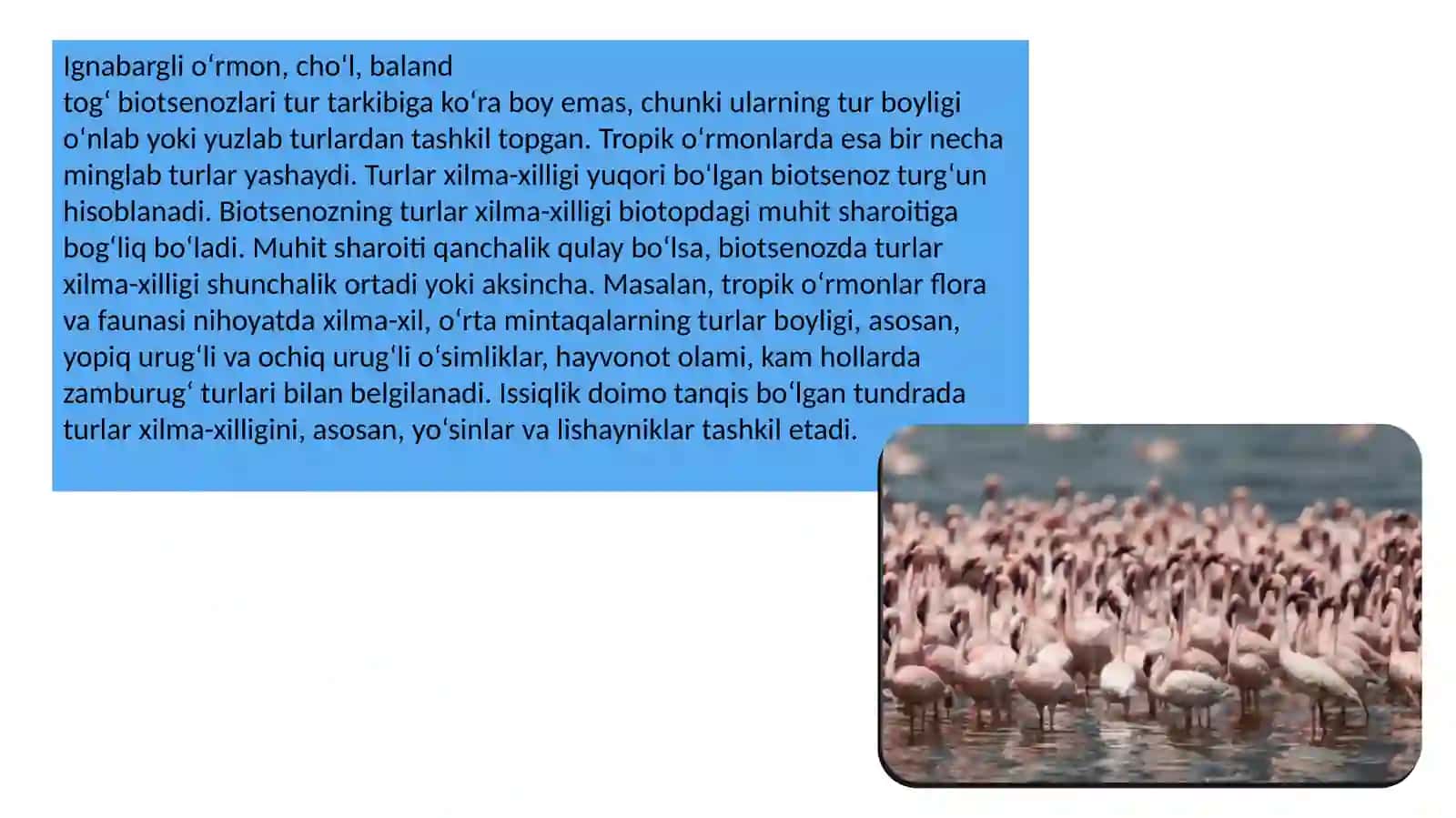 Biotsenozning turtarkibi 3