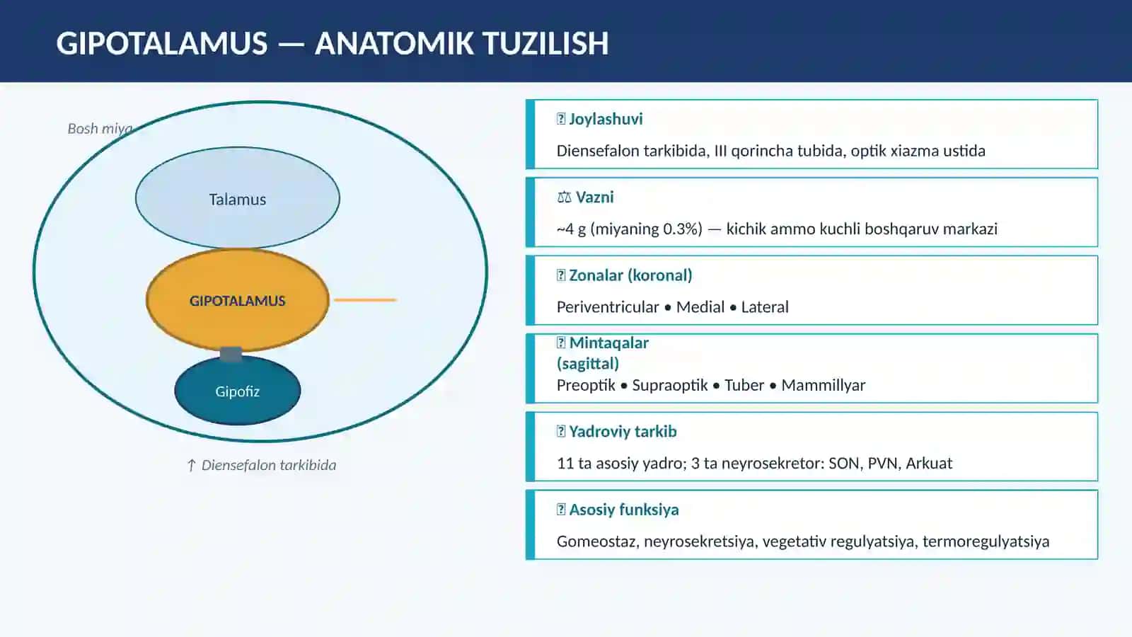 GIPOTALAMUS NEYROSEKRESIYASINING STRUKTURAVIY ASOSLARI 3