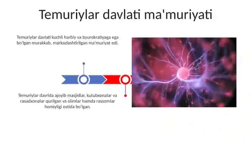 Temuriylar davri Uyg'onishi: Fan va Madaniyat 3