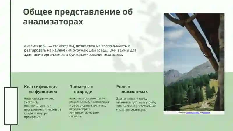 Общее представление об анализаторах 3