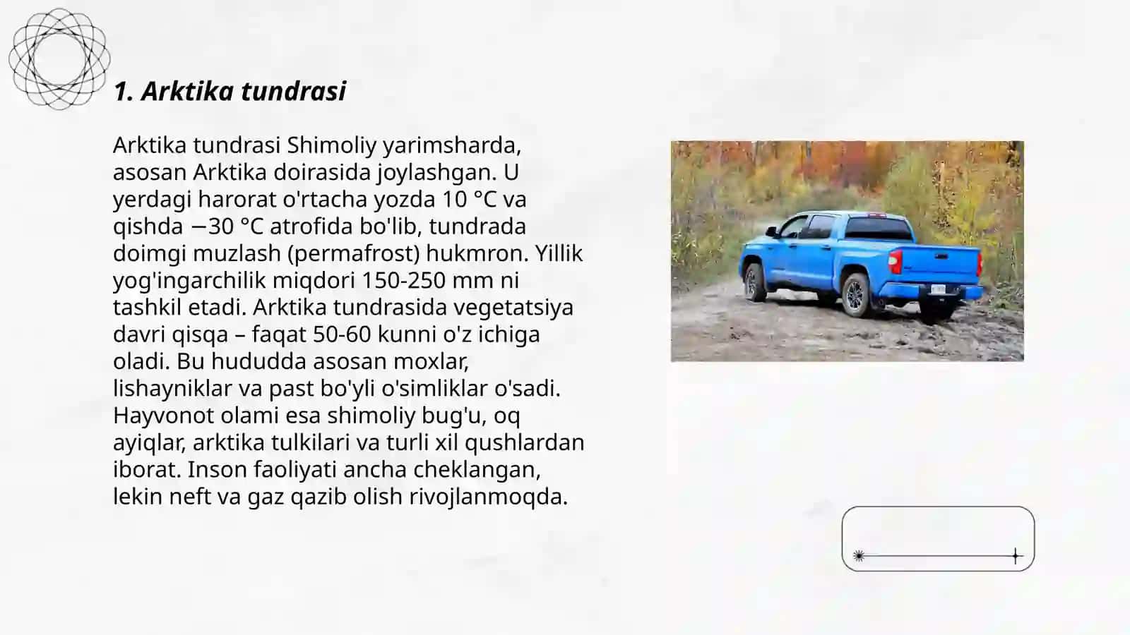 Arktika va subarktika tundra tuproqlari 3