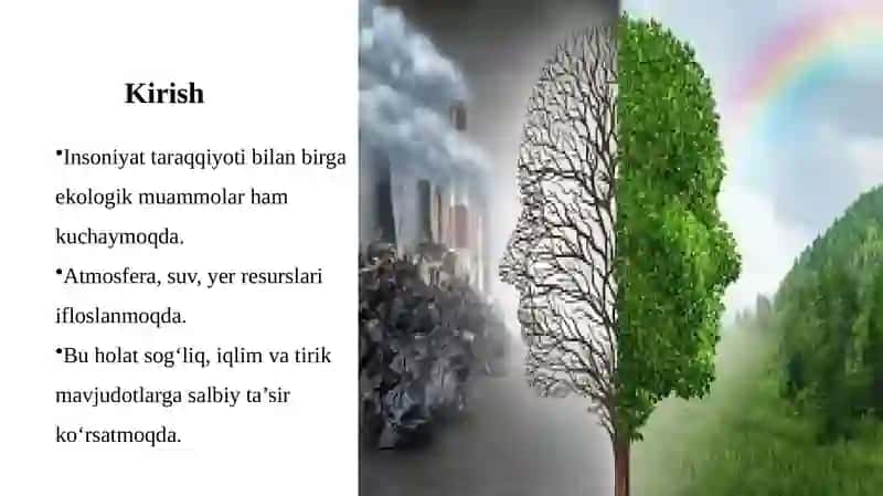 Hozirgi Zamon Ekologik Muammolari 3