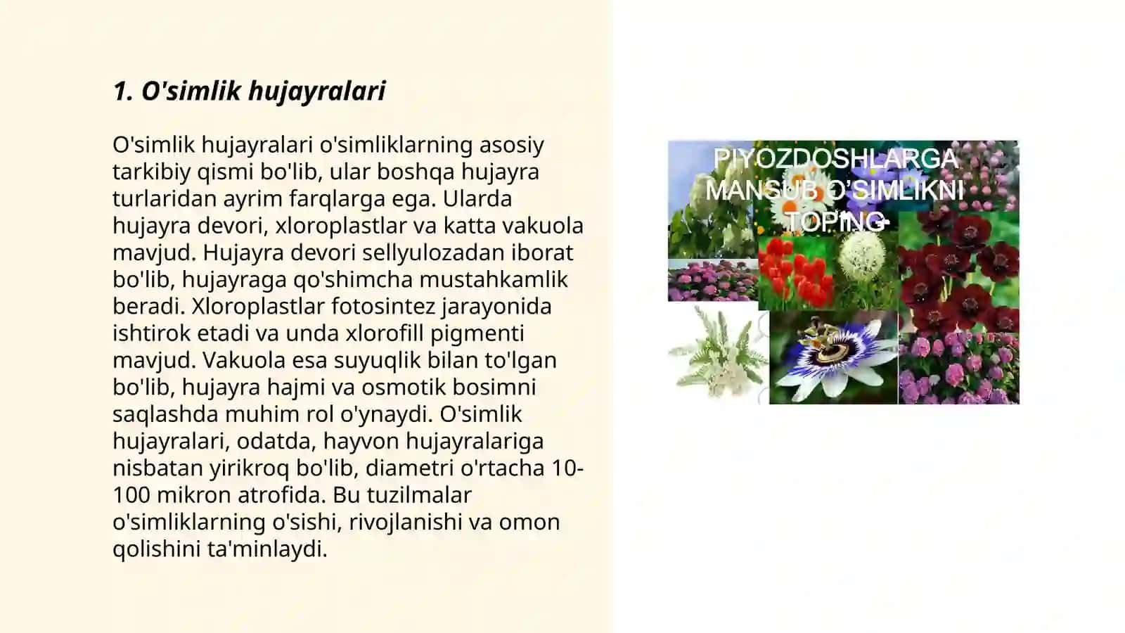 Õsimlik tõqimalari botanika 3