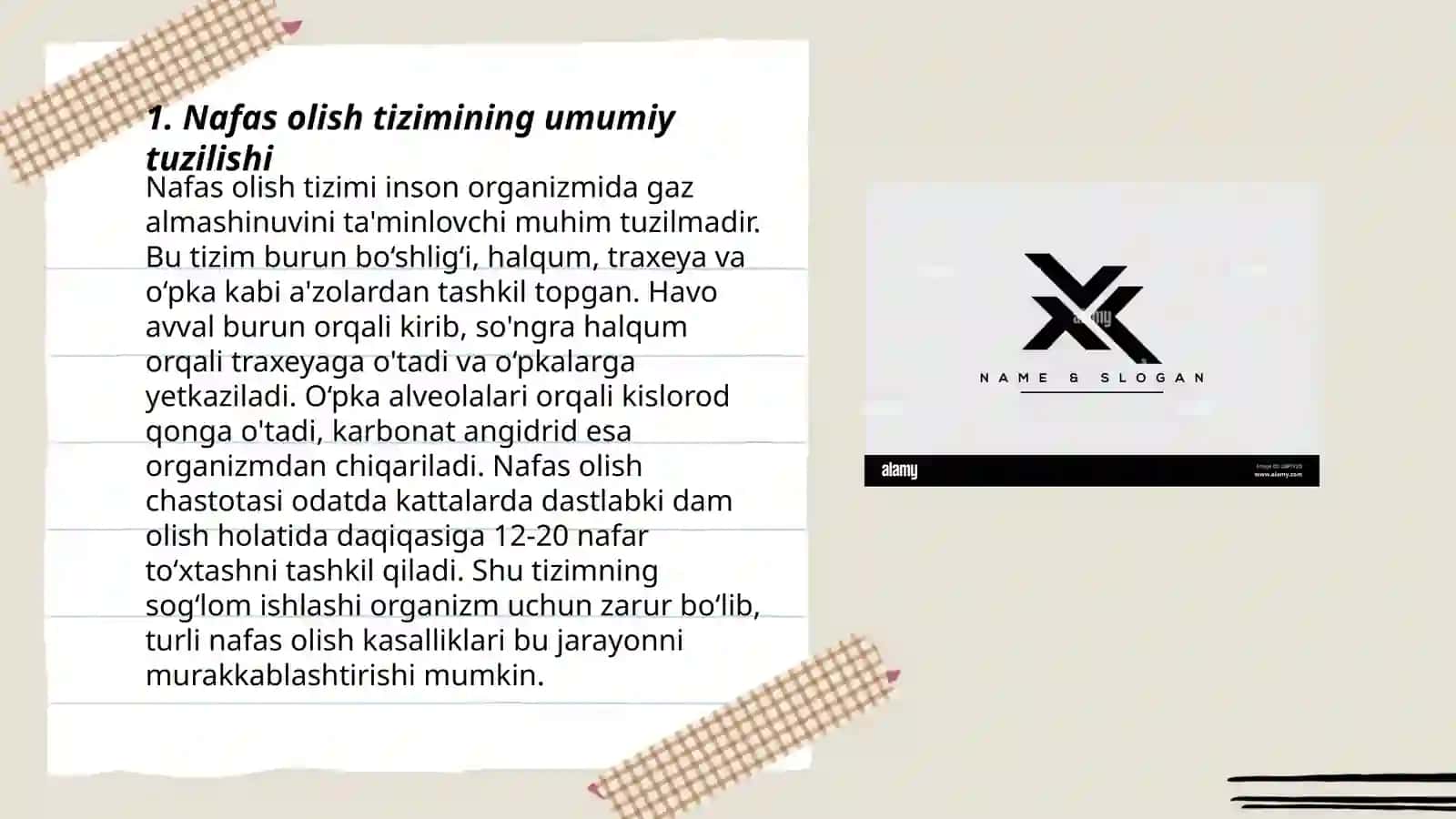 Nafas olish tizimi haqida 3