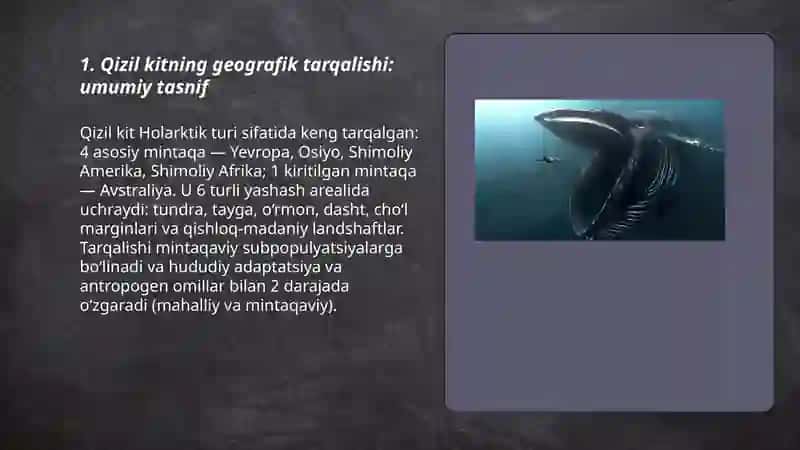 Qizil kit 3
