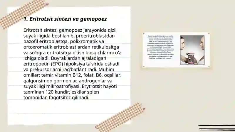 Eritrotsitlarga taʼsir etuvchi omillar 3