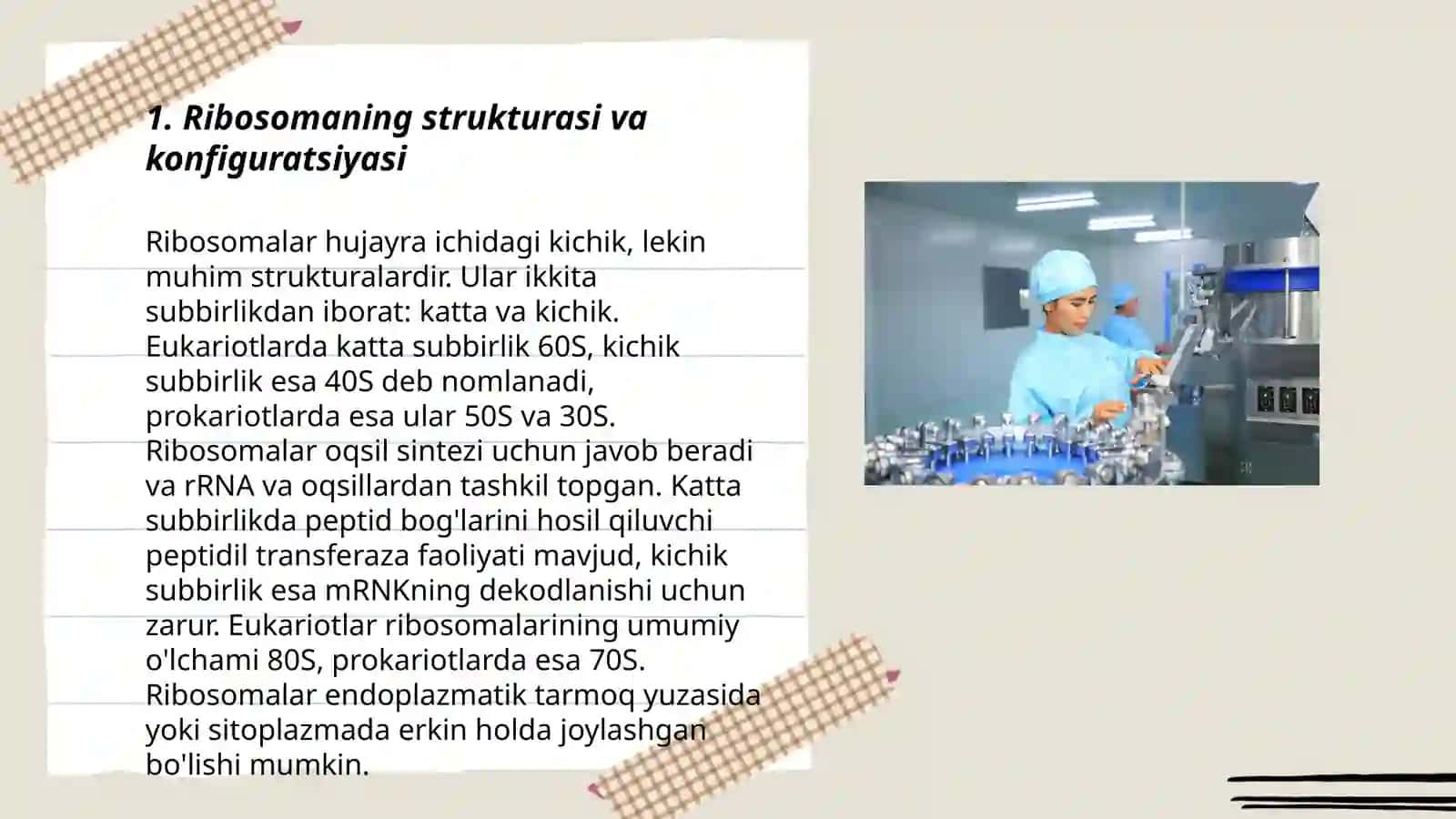 Ribosomaning mexanik va kimyoviy xususiyatlari 3