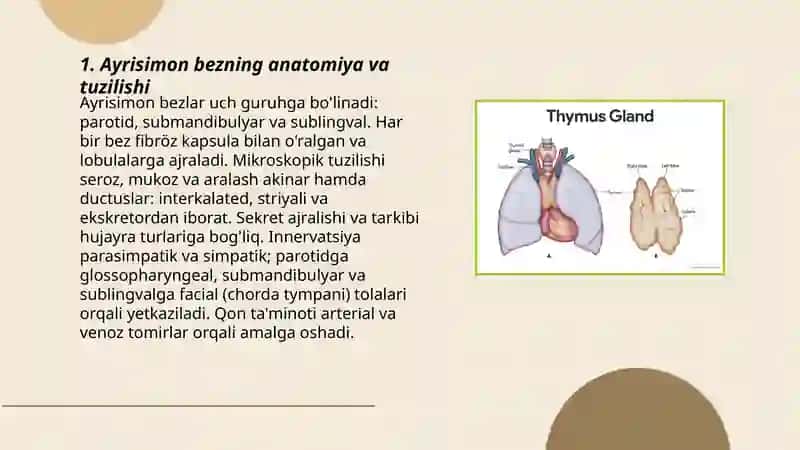 Ayrisimon bez mavzusi 3