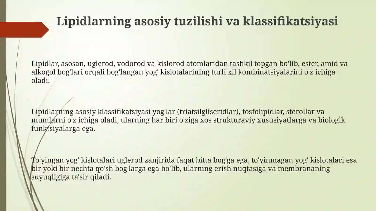 Lipidlar tuzilishi 3