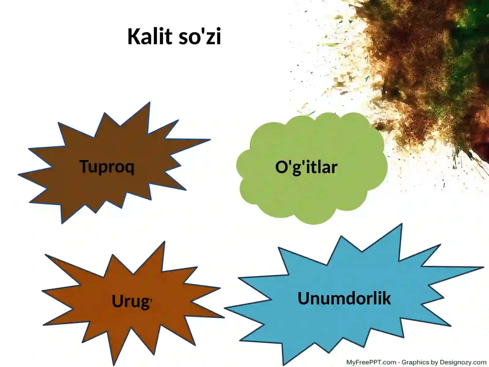 Tuproq va uning tabiiy hususiyatlari 3