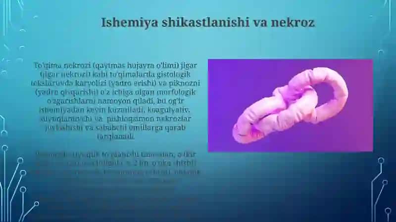 Idrok patologiyasi 3
