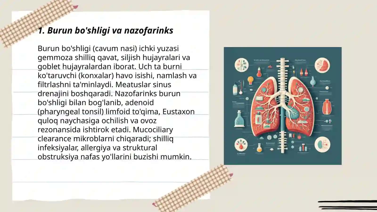 Nafas olish tizimi 3