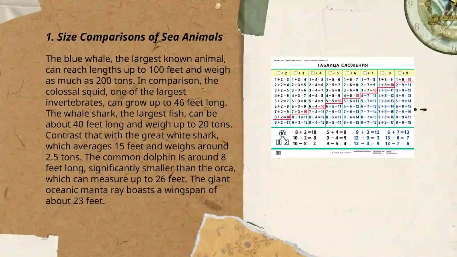Sea Animals Size Comparisons Demo Lesson 3