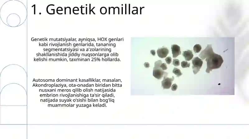 Embriogenezgataʼsiretuvchisalbiyomillar 3