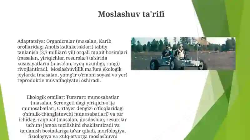 Muhit va ekalogik omillar 3