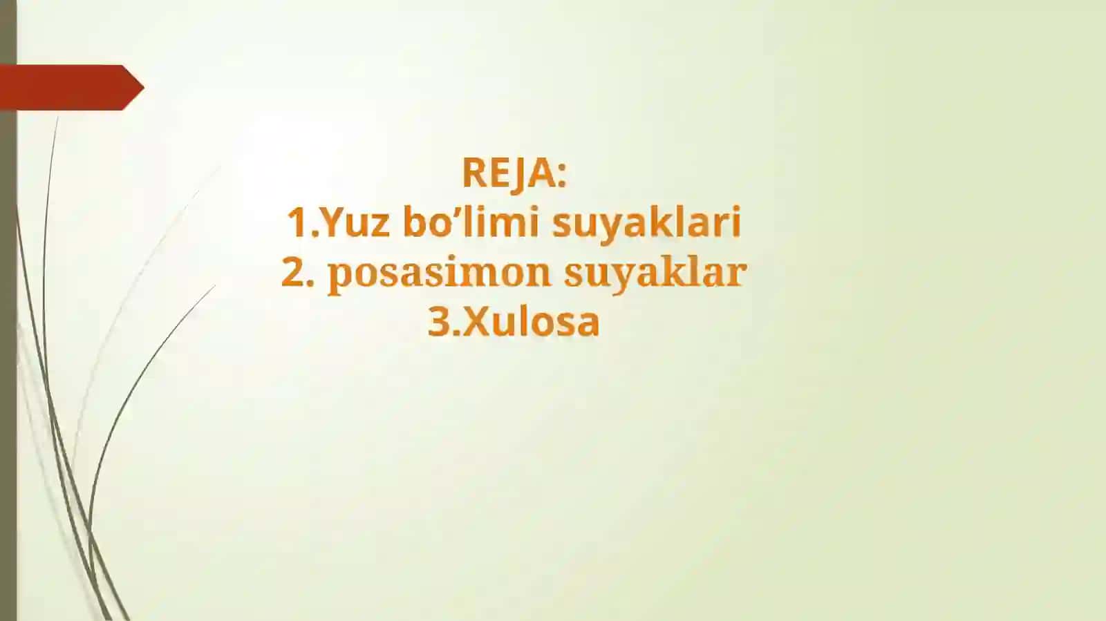 Kallaning yuz qismi suyaklari 3