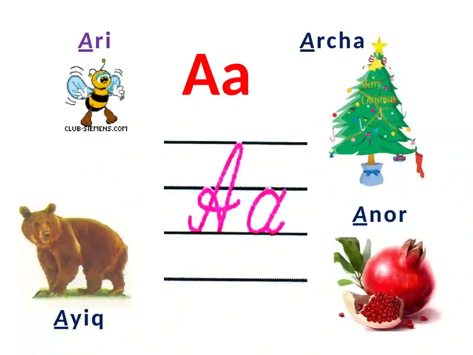 O’zbektili Alifbosi 3