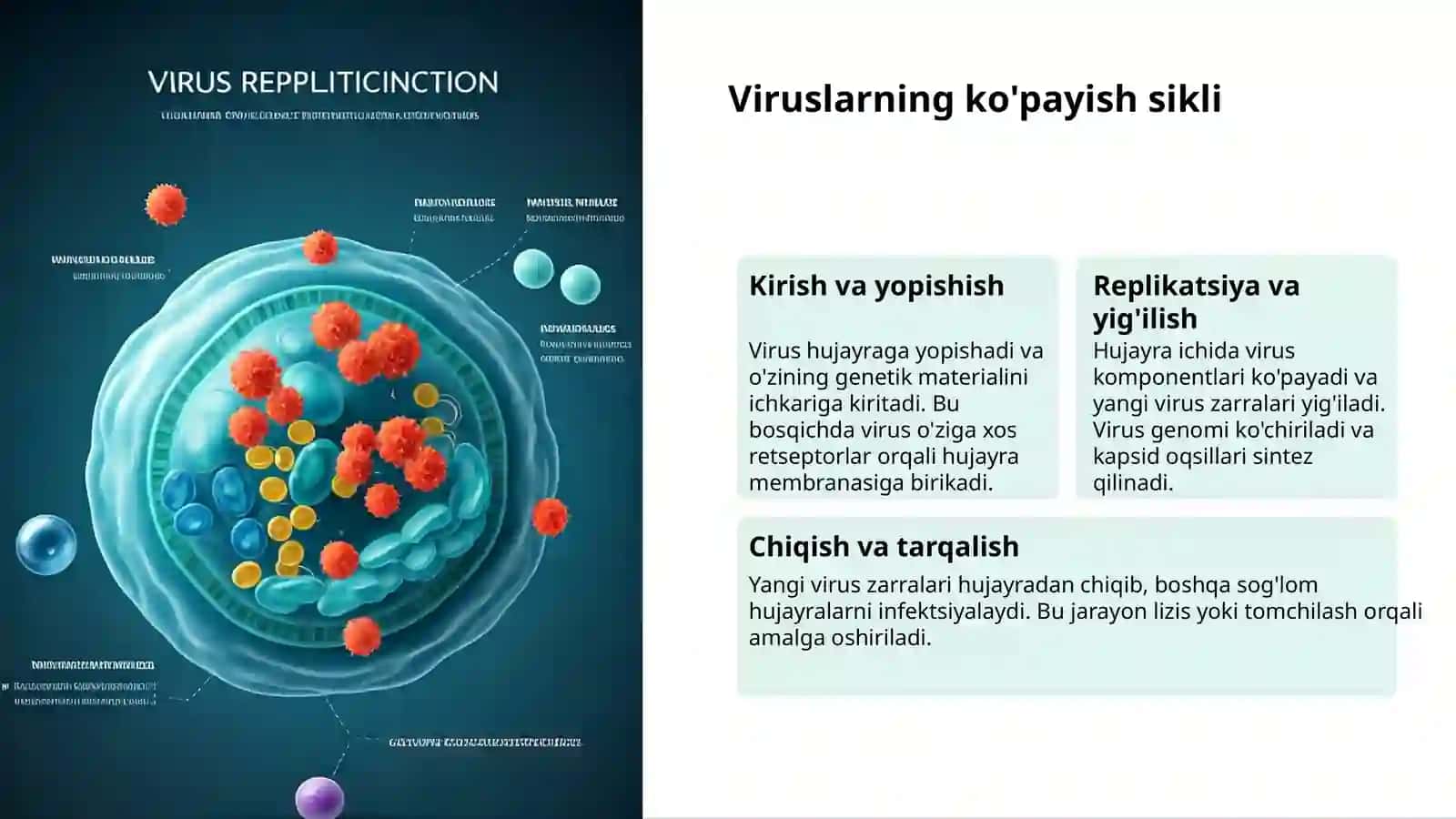 Viruslar: Kichik va Xavfli 3