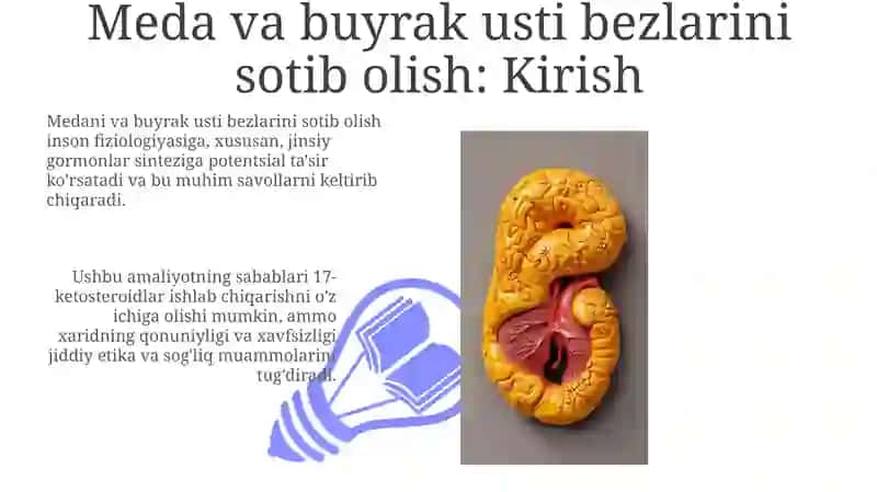 Meda osti bezi va buyrak usti bezi 3