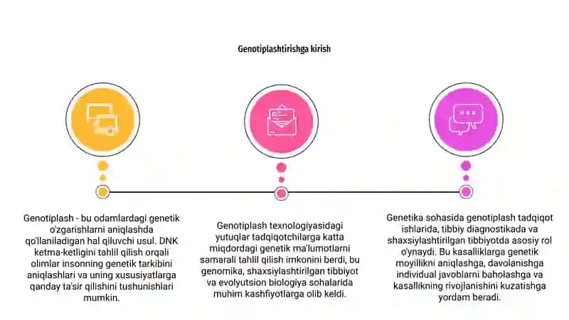 Genotiplash 3
