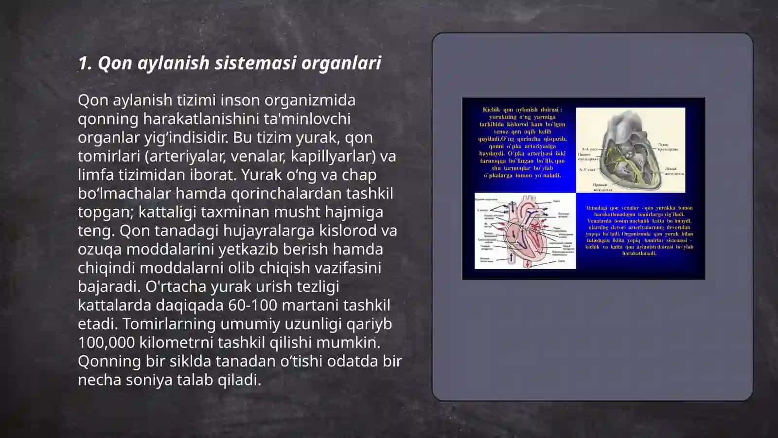Qon aylanish sistemasi 3