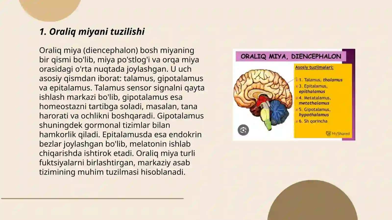 Oraliq miya 3