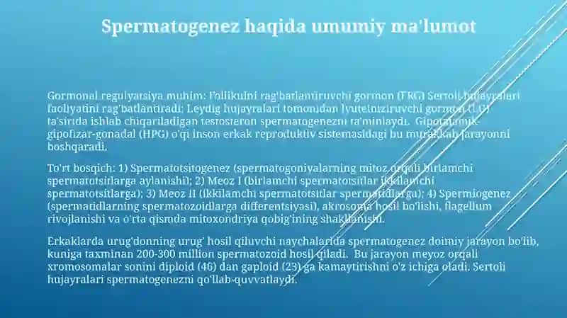 Spermatogenez bosqichlari sxemasi va mexanizmi 3