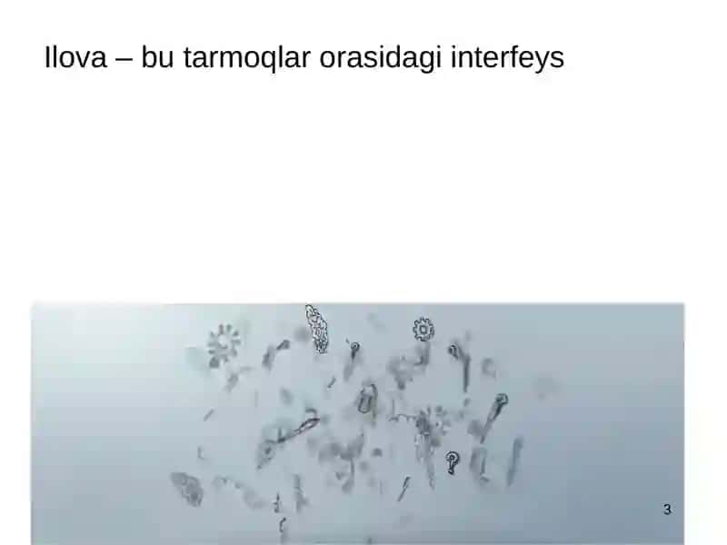 Ilova pog‘onasi ta’rifi. Klient-server va peer to peer modellari, arxitekturalari. Internet ilovalari. Internetdagi DNS xizmati. World Wide Web ta'rifi. HTTP, HTML, URL tushunchalari 3