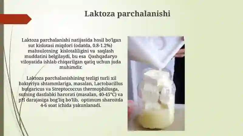 Laktoza parchalanishi 3