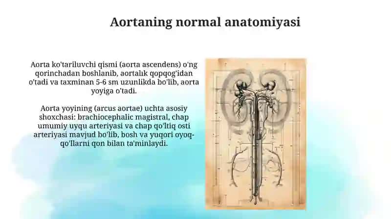 Aorta rivojlanishi va uning anatomik variantlari 3