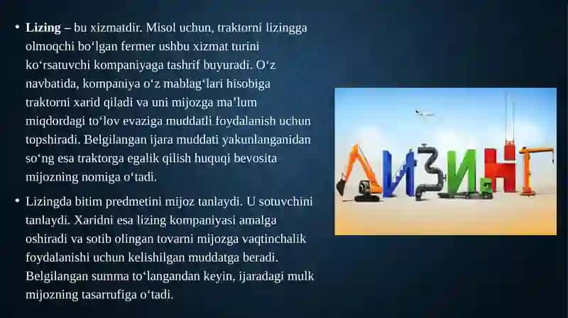 Lizing 3