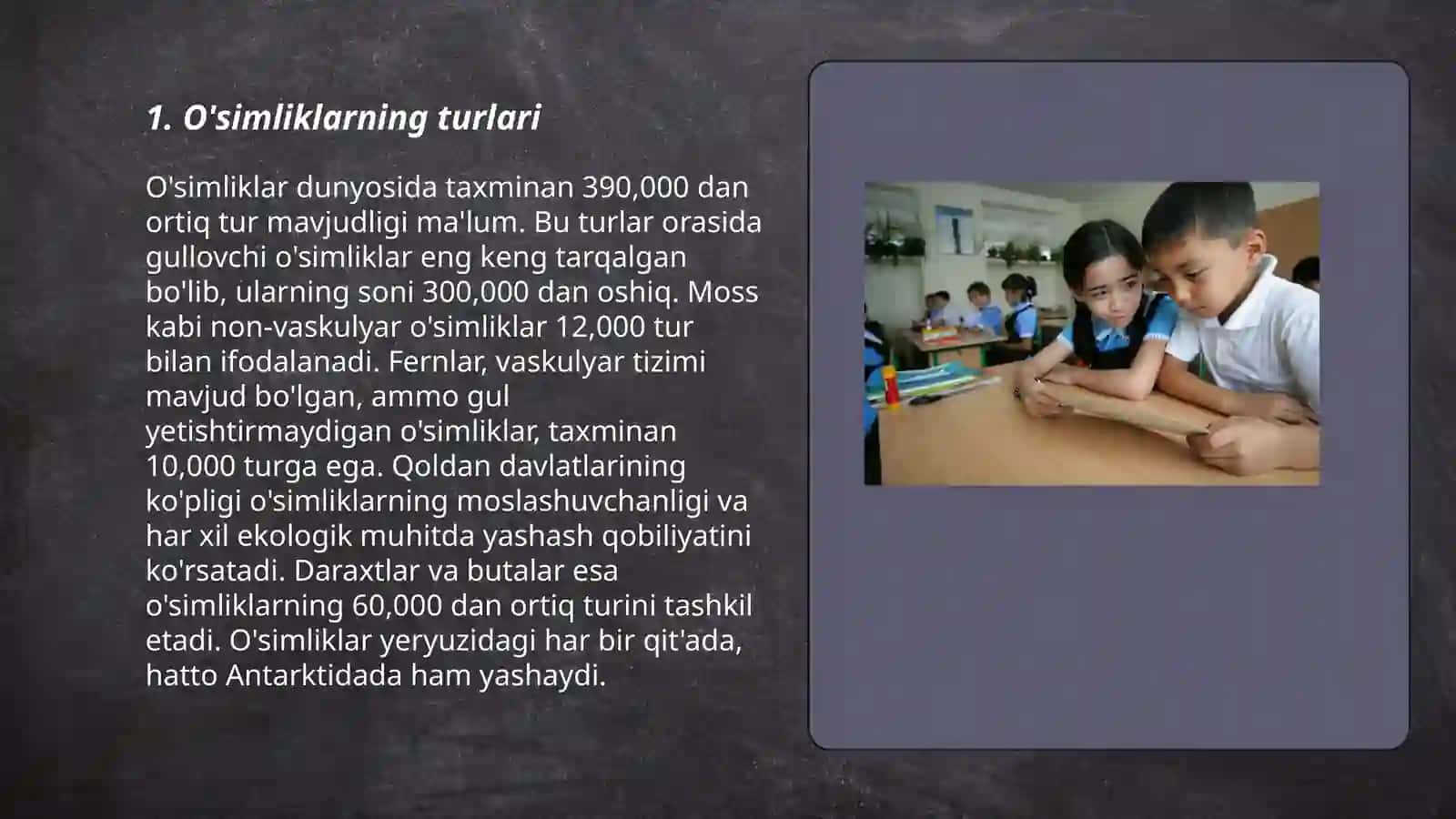 Tabiat bilan tanishtirish dasturi mazmuni 3