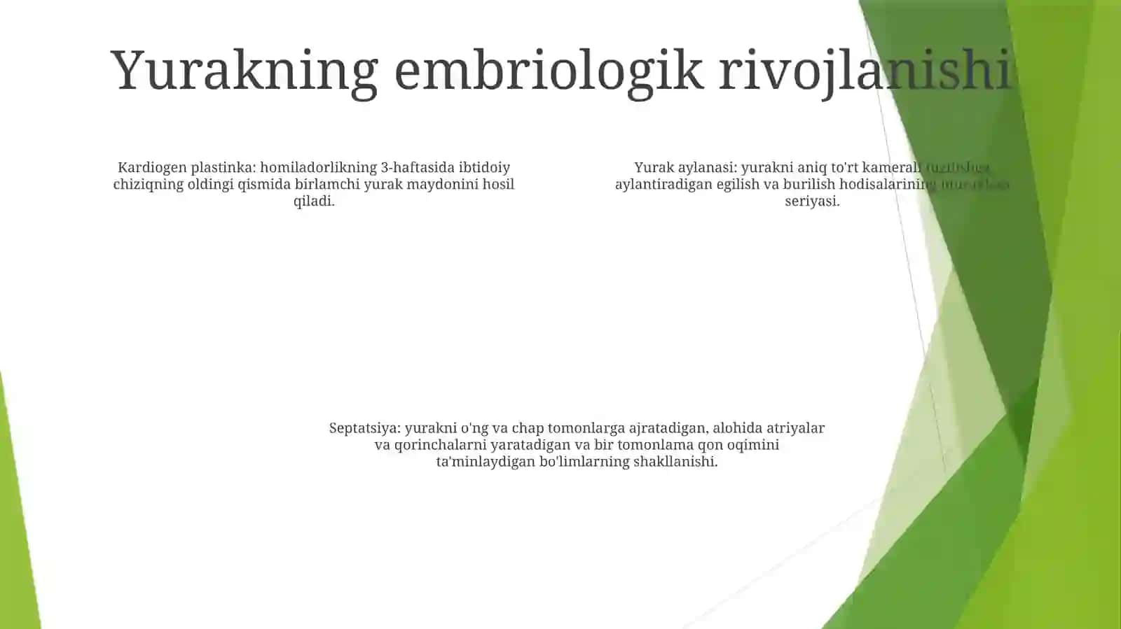 Yurak Embriologiyasi 3