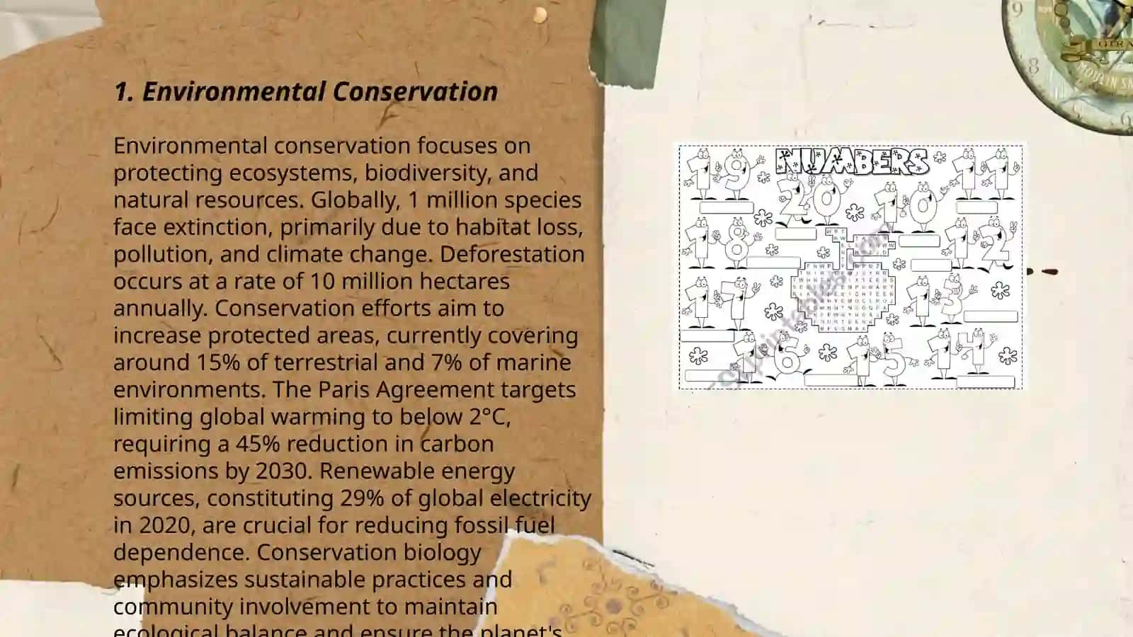 Independent Work Presentation 3