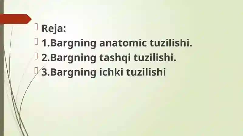 Bargning tuzilishi 3